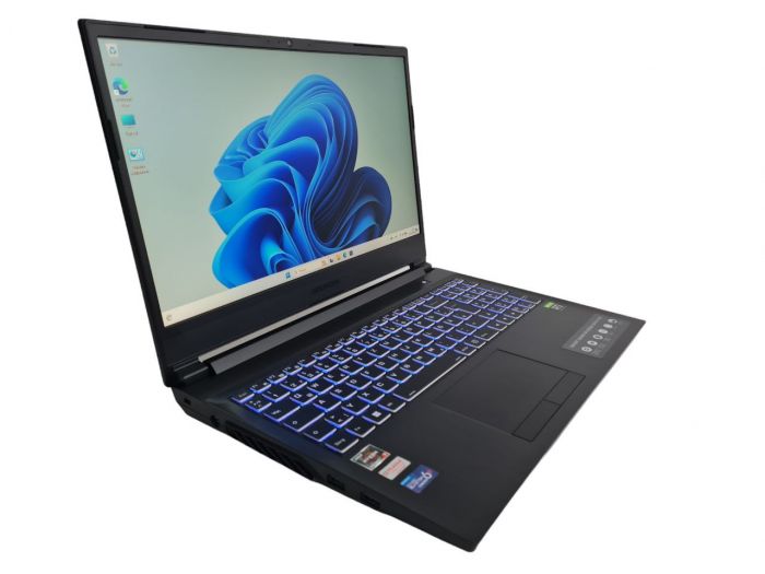 Ноутбук Medion Erazer P25-MD 64055 Ryzen 7 5800H 16Gb 2Tb SSD RTX3060
