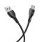 Кабель BOROFONE BX51 Triumph Type-C 1m 3A Black